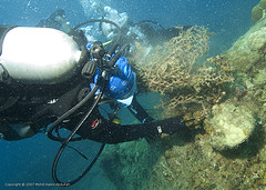 Perhentian island terengganu diving02.jpg
