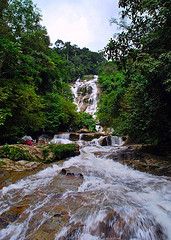Lata Kinjang waterfall perak02.jpg
