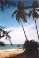 Pulau Sibu Malaysia.jpg